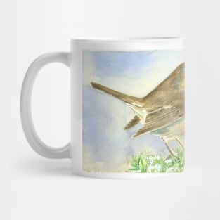 Robin bird on a frosted juniper branch Mug